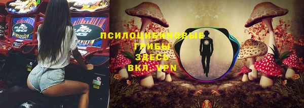 прущая мука Арсеньев